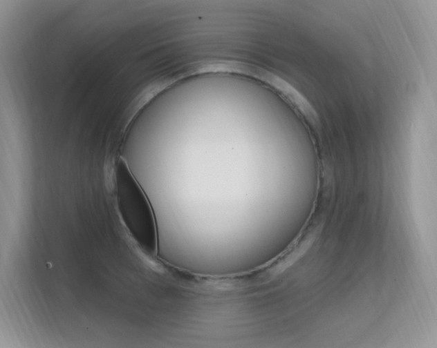 X0000112350993200908131010