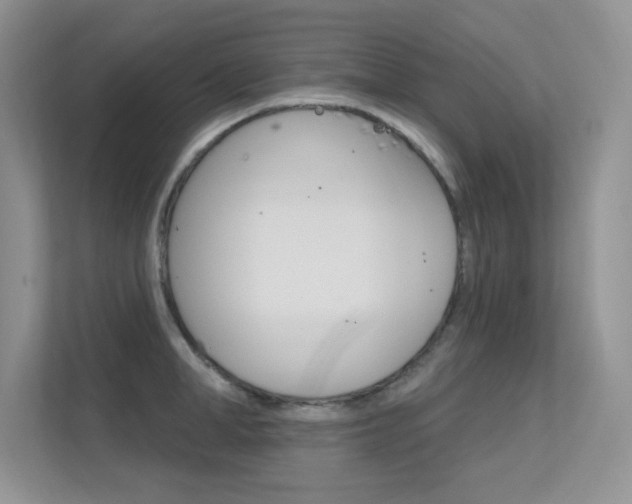 X0000112350998200908131010