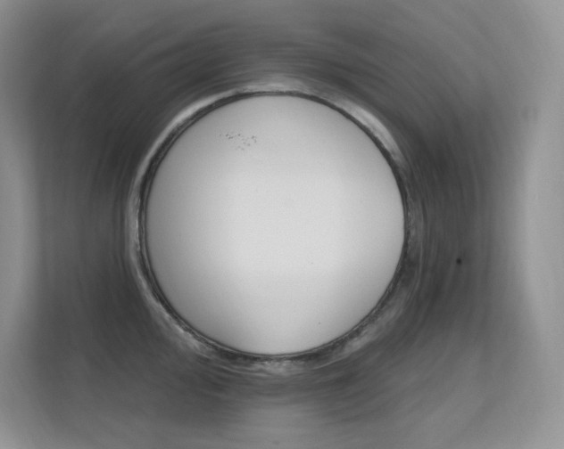 X0000112351000200908131010
