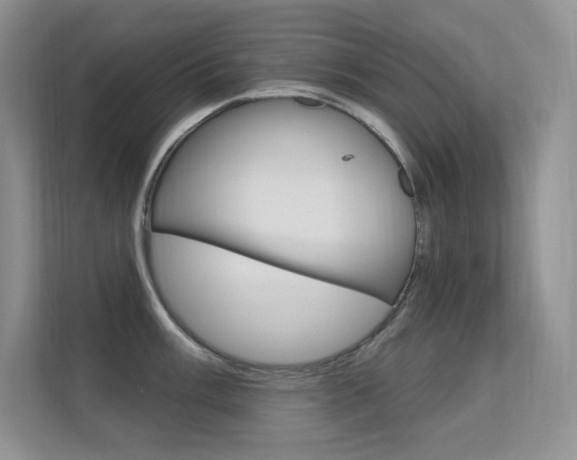 X0000112351003200908131010