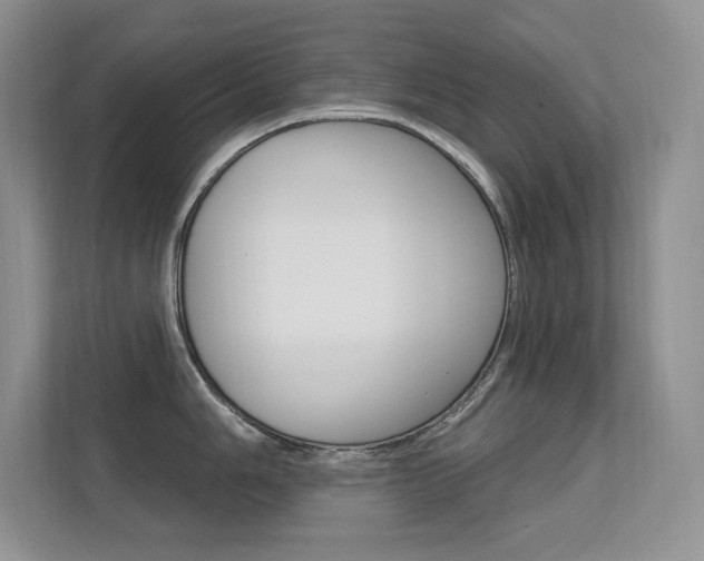 X0000112351006200908131010