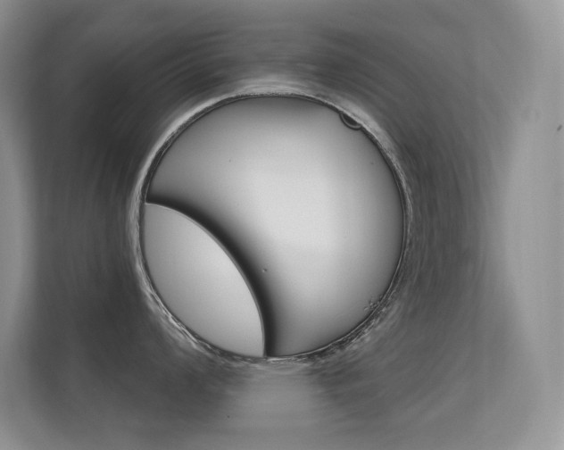 X0000112351008200908131010