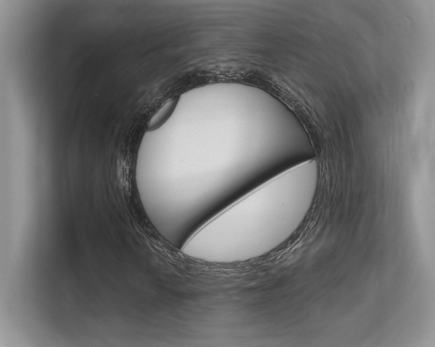 X0000112351010200908131010