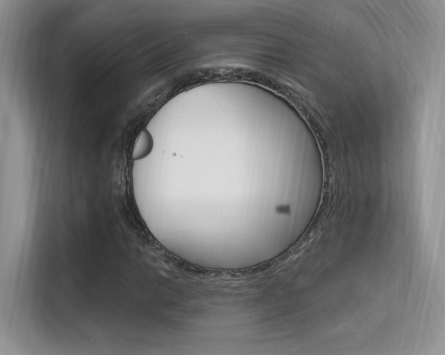 X0000112351014200908131010