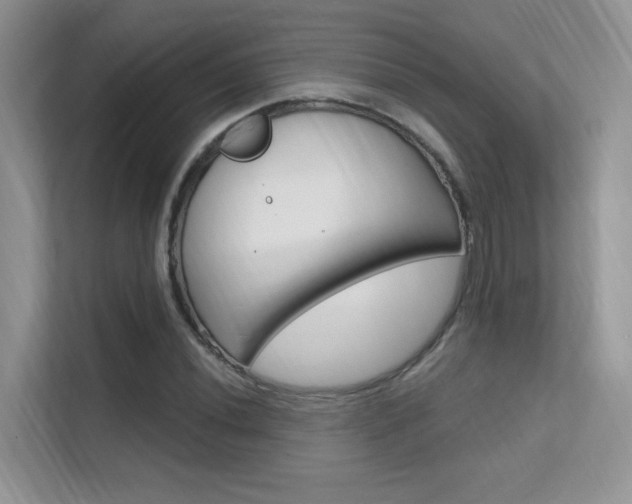 X0000112351020200908131010