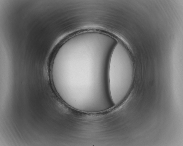 X0000112351022200908131010