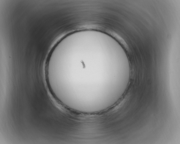 X0000112351039200908131010