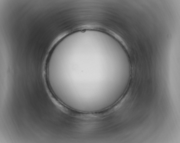 X0000112351042200908131010