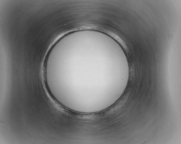 X0000112351047200908131010