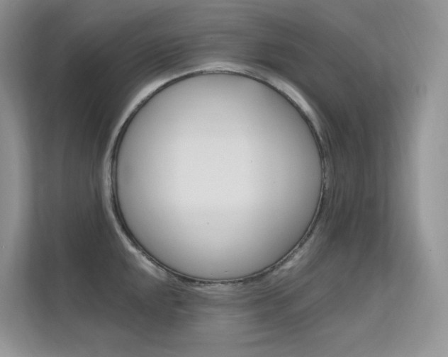 X0000112351048200908131010