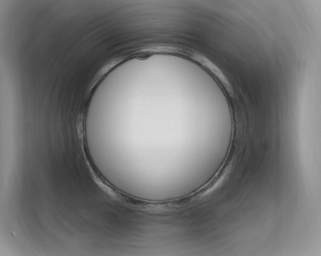 X0000112351049200908131010