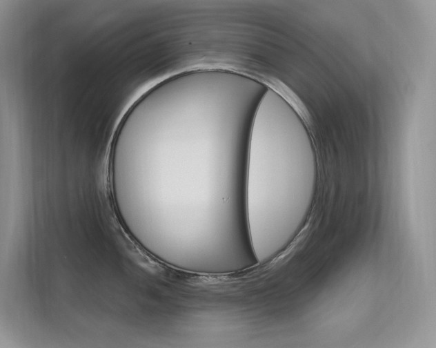 X0000112351052200908131010