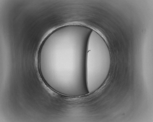 X0000112351054200908131010