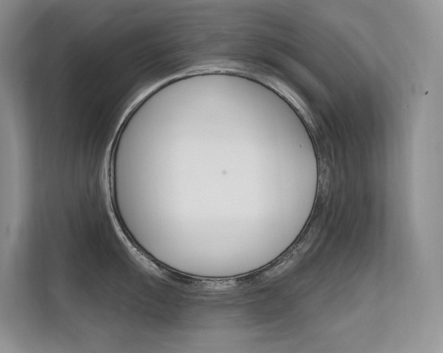 X0000112351055200908131010