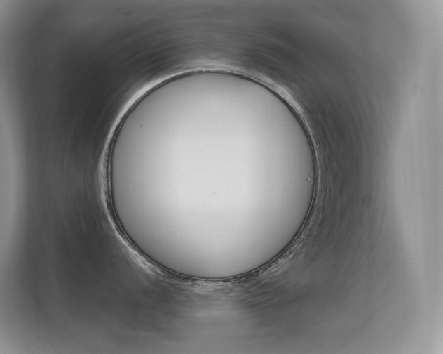 X0000112351056200908131010