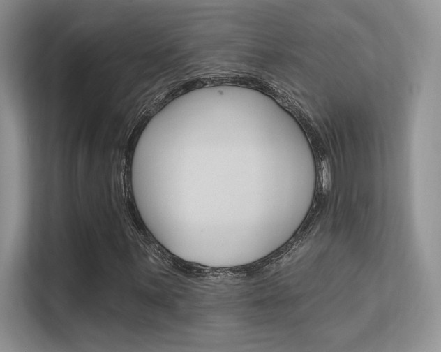 X0000112351059200908131010
