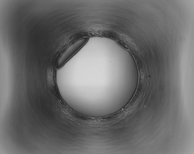X0000112351060200908131010