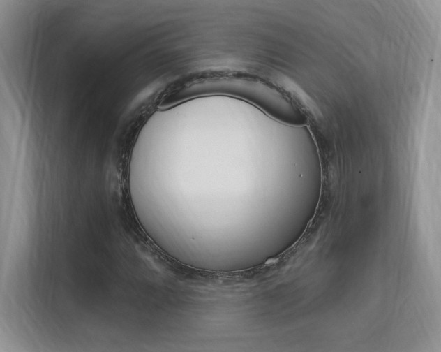X0000112351064200908131010