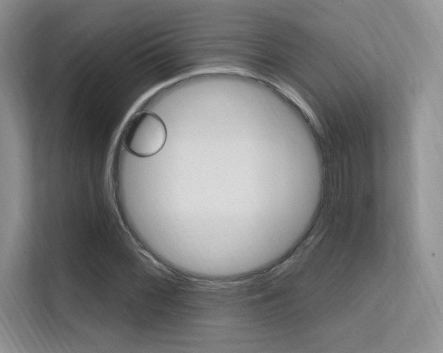 X0000112351068200908131009