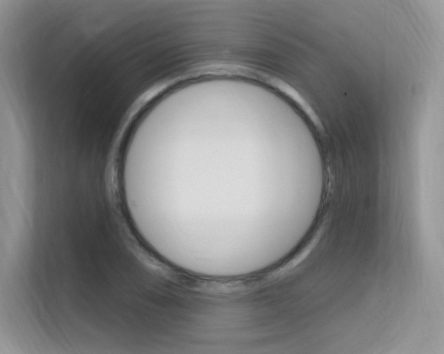 X0000112351074200908131009