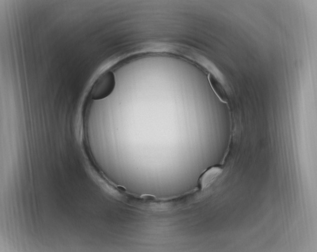 X0000112351080200908131009