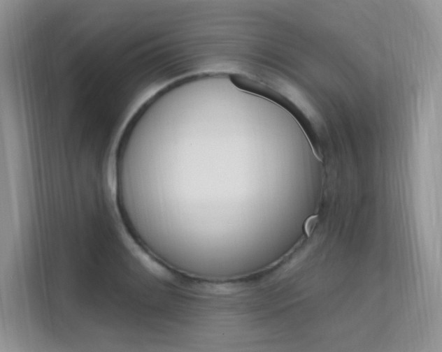X0000112351084200908131009