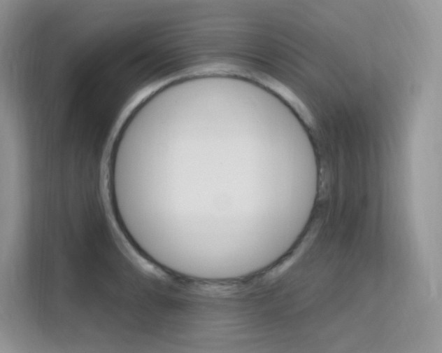 X0000112351086200908131009