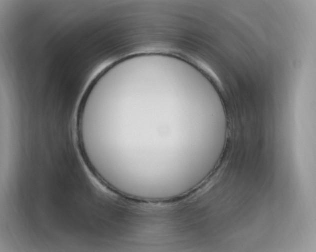 X0000112351087200908131009