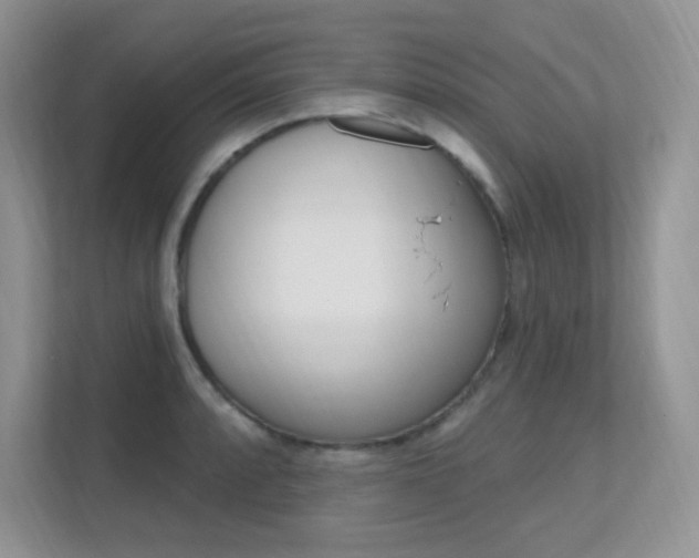 X0000112351088200908131009