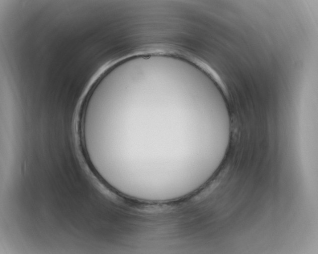 X0000112351091200908131009