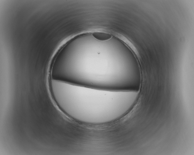 X0000112351093200908131009