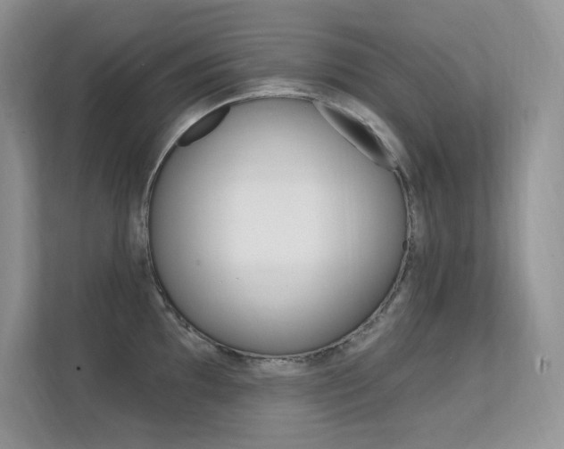 X0000112351097200908131009