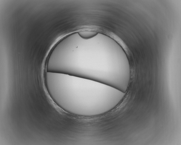 X0000112351099200908131009