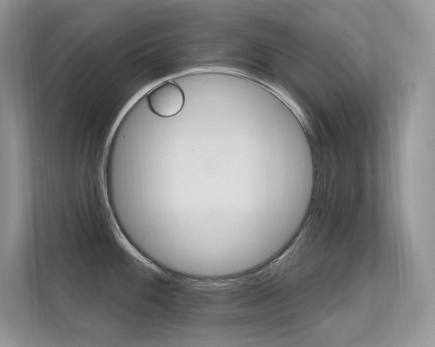 X0000112351100200908131009