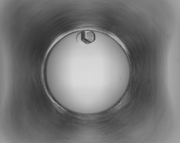 X0000112351101200908131009
