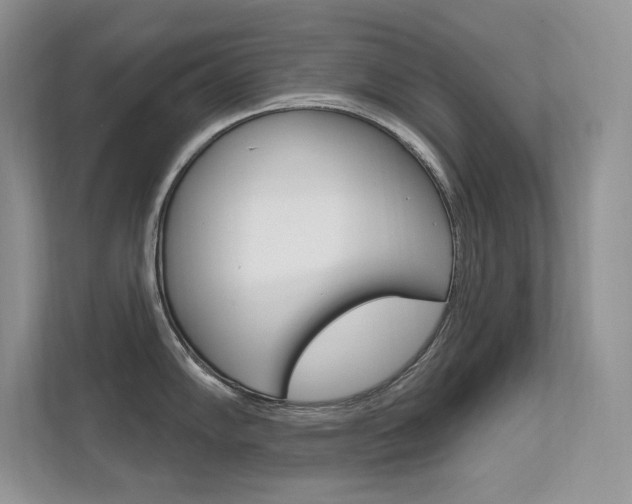 X0000112351102200908131009