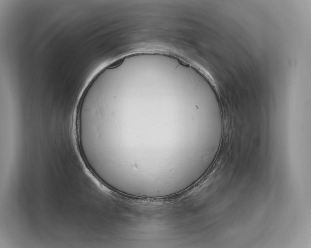 X0000112351103200908131009