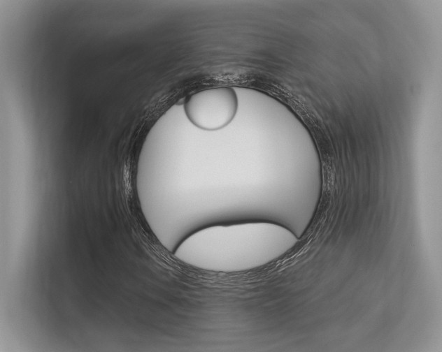 X0000112351106200908131008