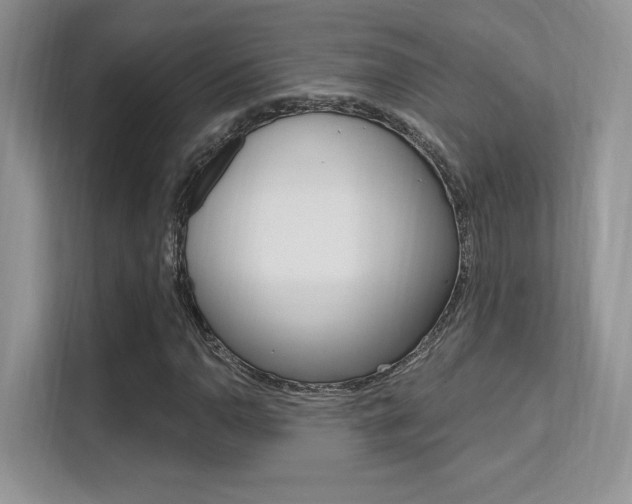 X0000112351110200908131008