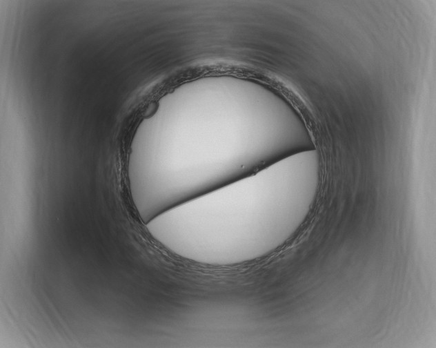 X0000112351111200908131008
