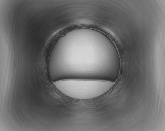 X0000112351112200908131008