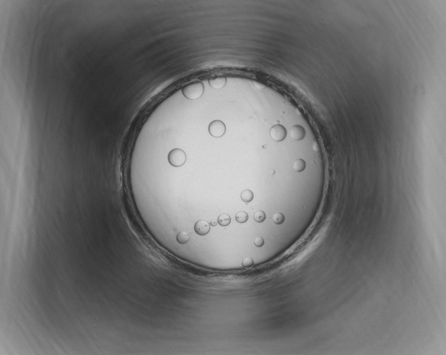 X0000112351113200908131008