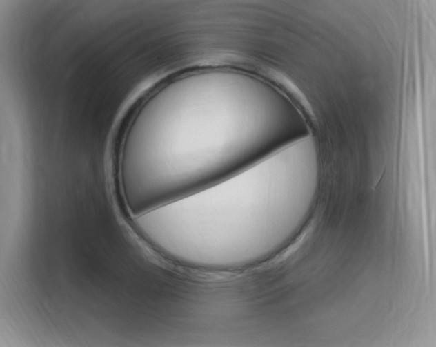 X0000112351122200908131009
