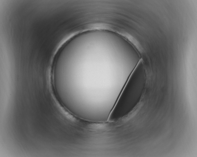 X0000112351134200908131009