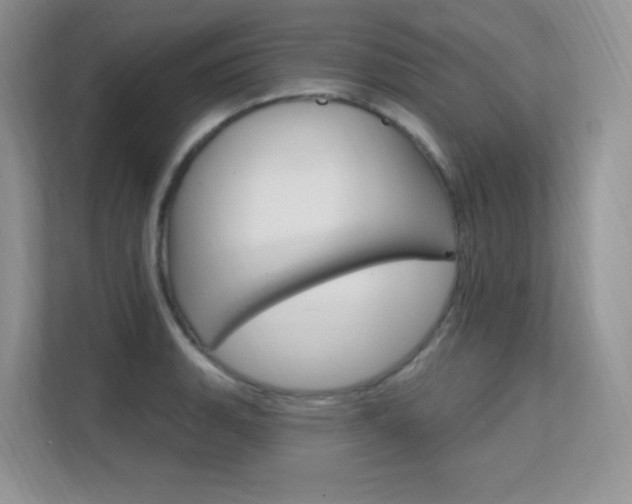 X0000112351135200908131009