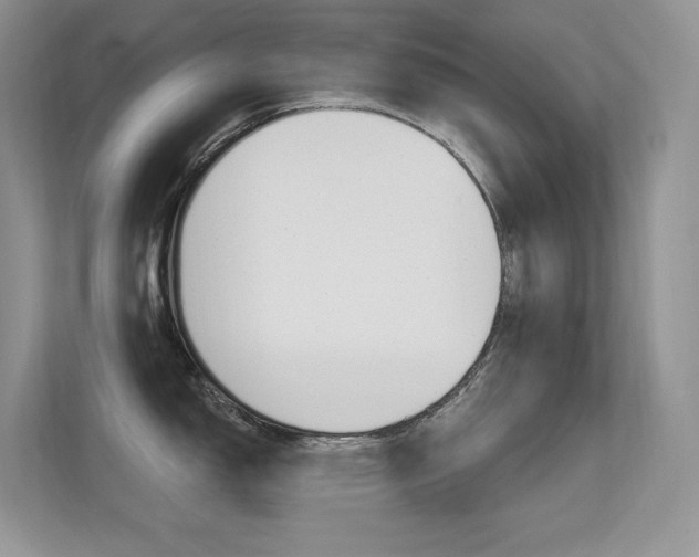 X0000112351150200908131009