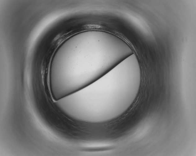 X0000112351151200908131009