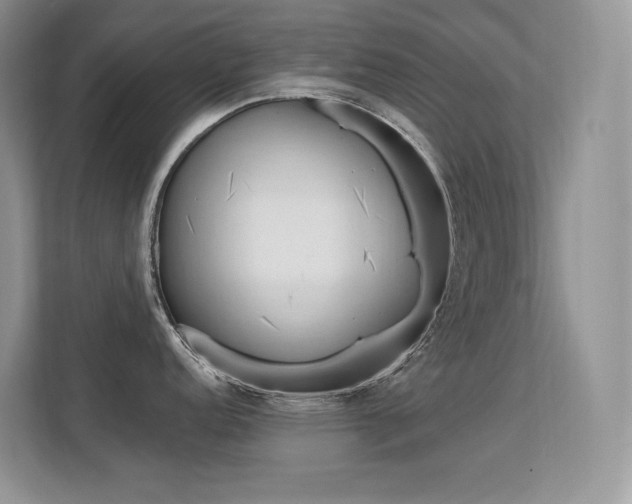 X0000112351152200908131009