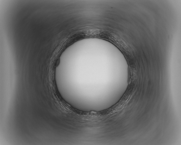 X0000112351153200908131008