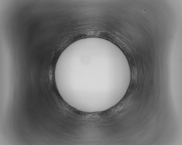 X0000112351154200908131008